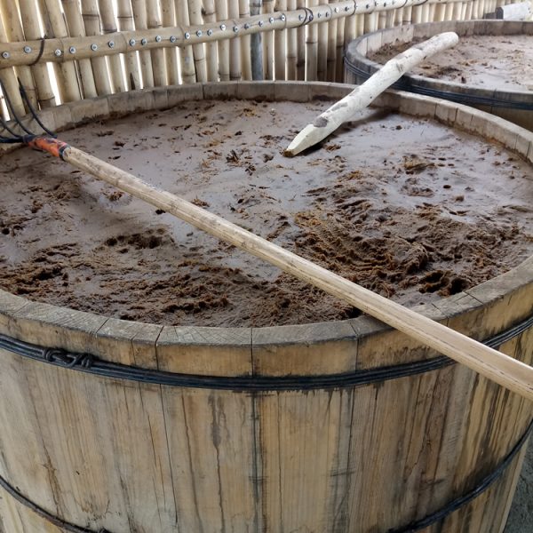 Fermentation of the cooked agave