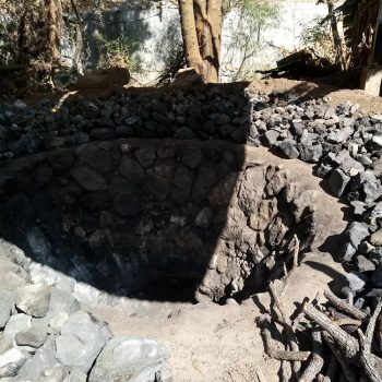 Pit oven to cook the agave