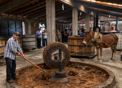 The Origins of Mezcal and Its Role in Modern Oaxacan Culture